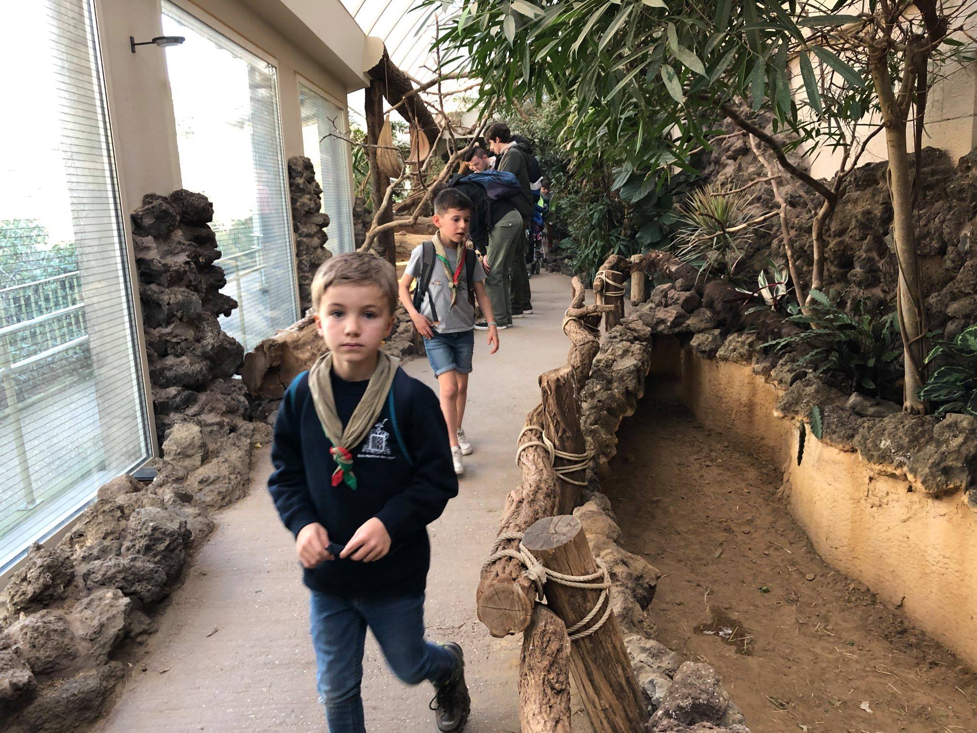 Sint-Martinus den XIIde - Zoo Antwerpen Kapoenen